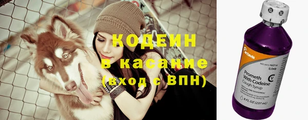 a pvp Гусь-Хрустальный