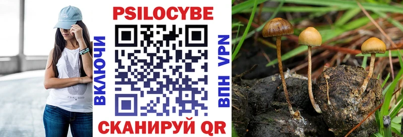 МЕГА сайт  Кремёнки  Псилоцибиновые грибы Psilocybine cubensis  что такое  